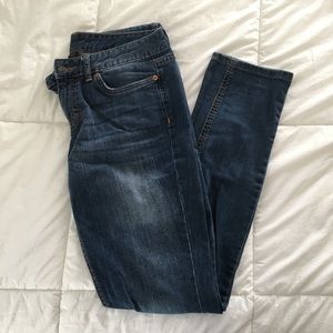 Dark Wash Curvy Skinny Jeans